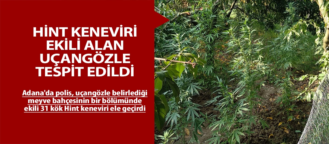 Hint keneviri ekili alan uçangözle tespit edildi