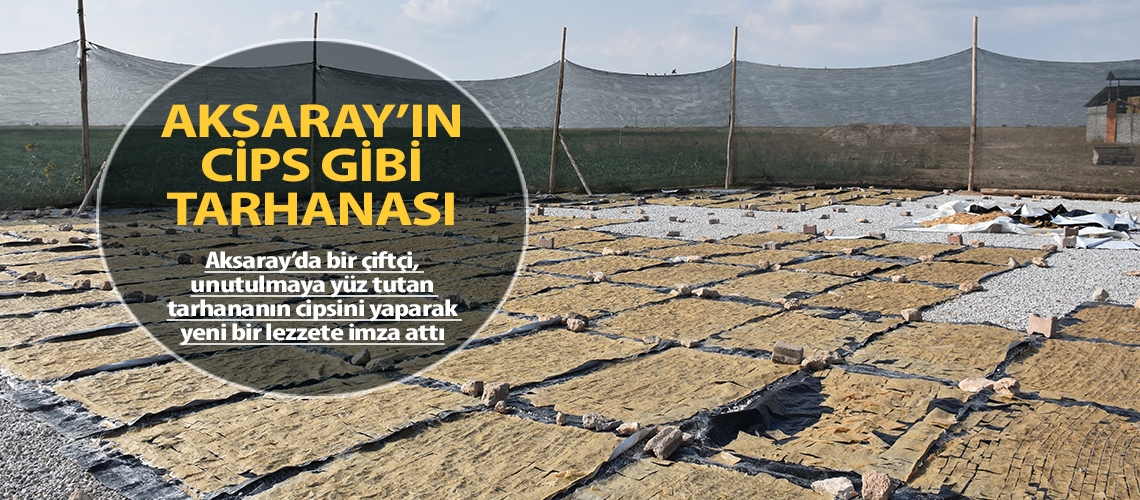 Aksaray’ın cips gibi tarhanası