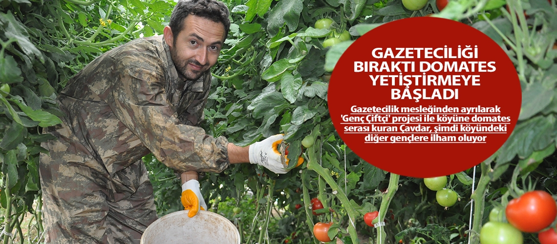 Gazeteciliği bıraktı domates yetiştirmeye başladı