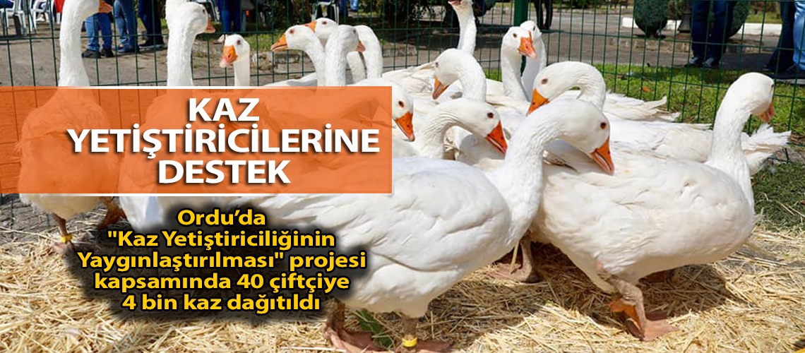 Kaz yetiştiricilerine destek