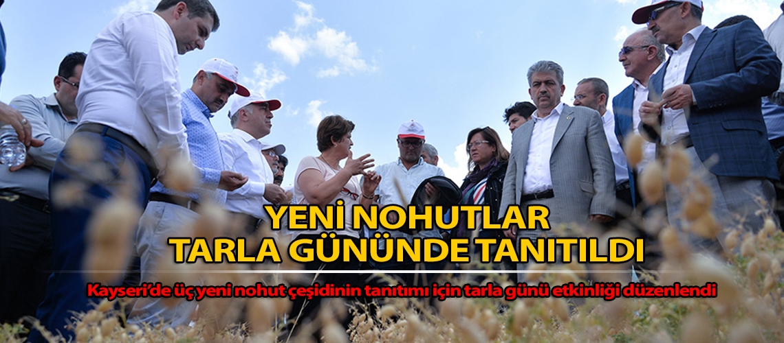 Yeni nohutlar tarla gününde tanıtıldı