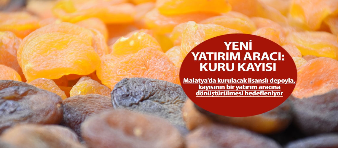 Yeni yatırım aracı: kuru kayısı