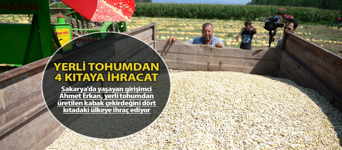 Yerli tohumdan 4 kıtaya ihracat