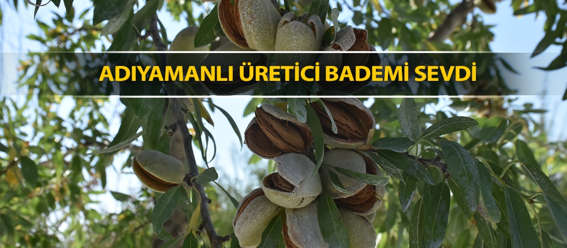 Adıyamanlı üretici bademi sevdi