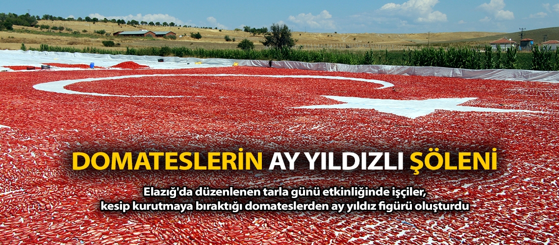 Domateslerin ay yıldızlı şöleni