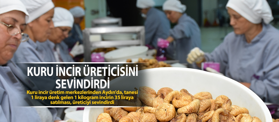 Kuru incir üreticisini sevindirdi