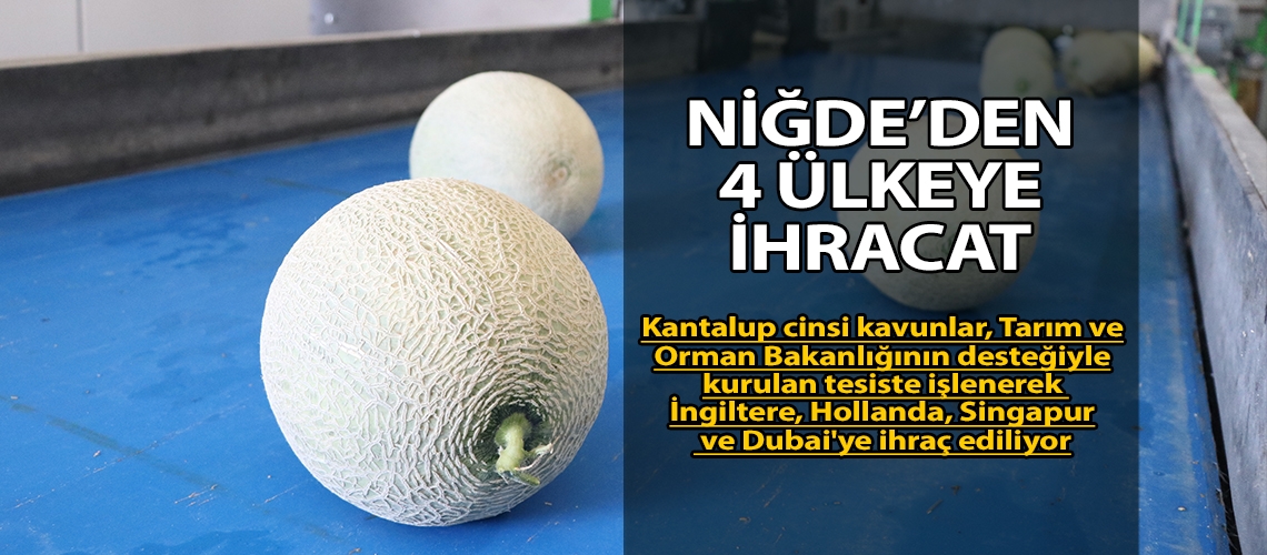 Niğde’den 4 ülkeye ihracat