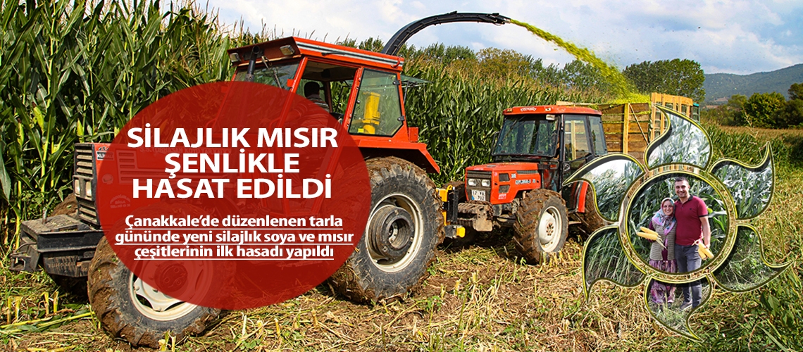 Silajlık mısır şenlikle hasat edildi