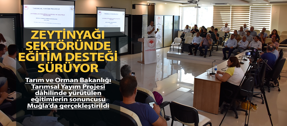 Zeytinyağı sektöründe eğitim desteği sürüyor