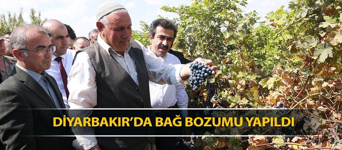 Diyarbakır’da bağ bozumu yapıldı