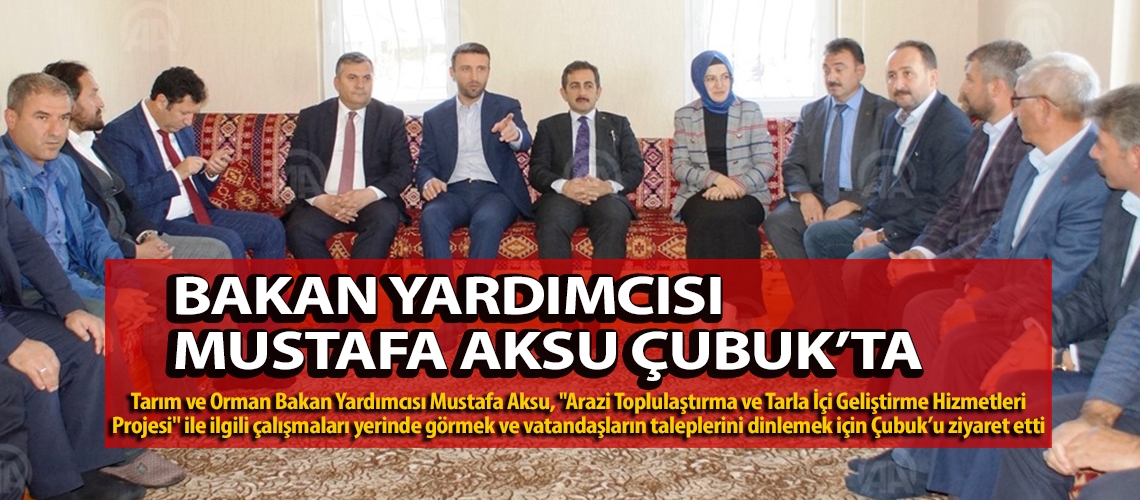 Bakan Yardımcısı Mustafa Aksu Çubuk’ta