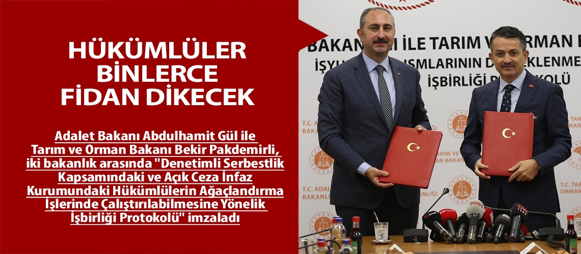 Hükümlüler binlerce fidan dikecek
