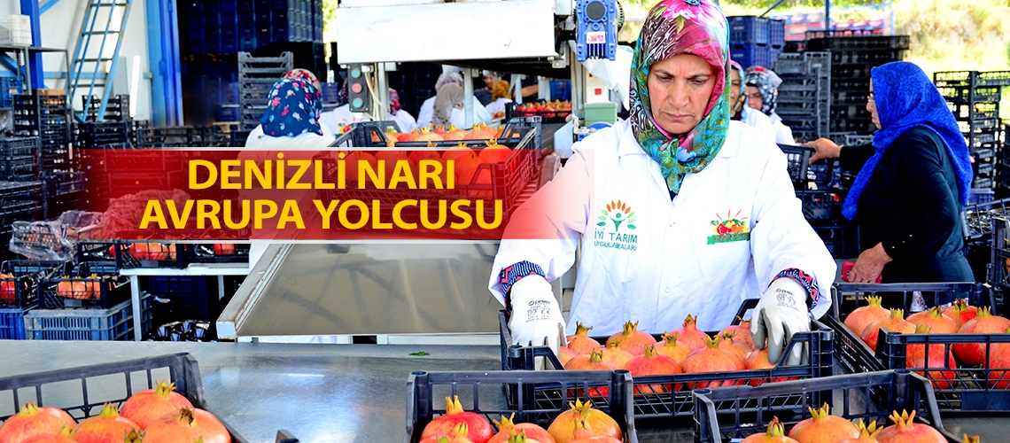 Denizli narı Avrupa yolcusu
