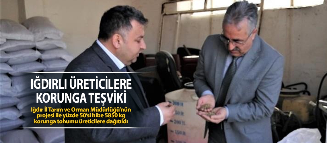 Iğdırlı üreticilere korunga teşviki