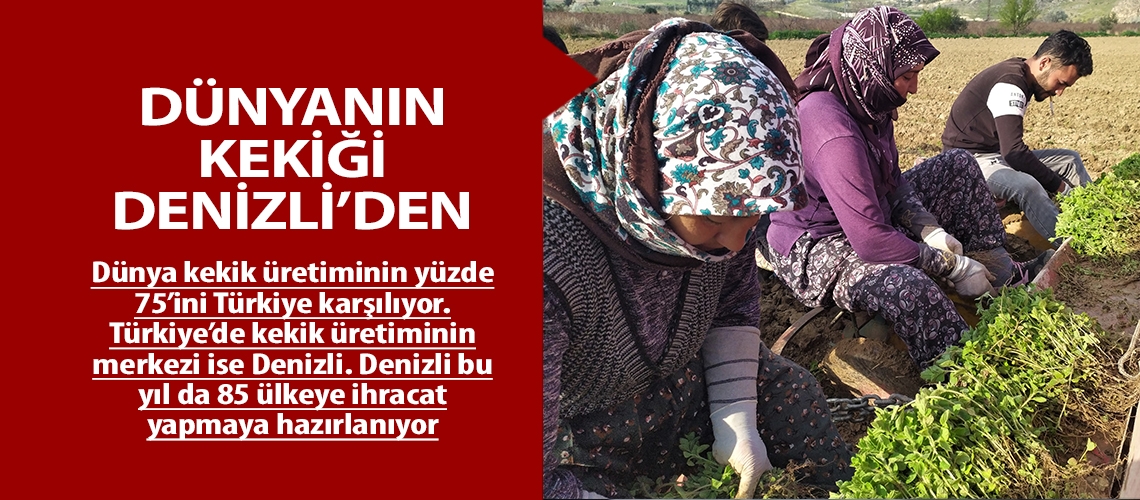 Dünyanın kekiği Denizli’den