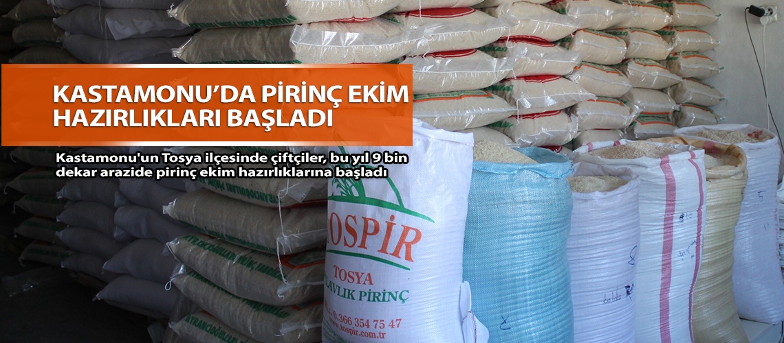 Kastamonu’da pirinç ekim hazırlıkları başladı