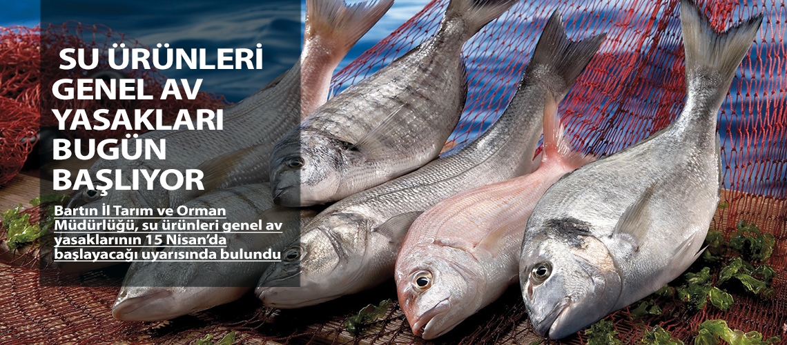 Su ürünleri genel av yasakları bugün başlıyor