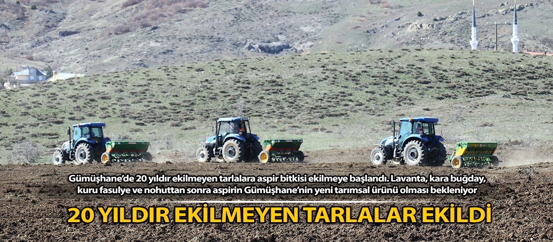 20 yıldır ekilmeyen tarlalar ekildi