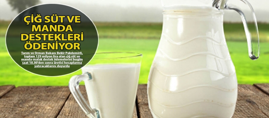 Çiğ süt ve manda destekleri ödeniyor