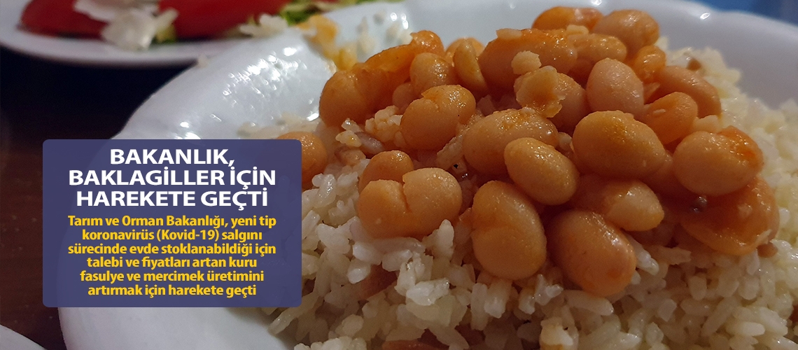 Bakanlık, baklagiller için harekete geçti