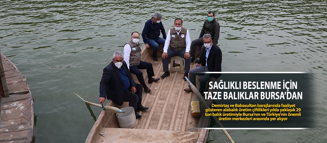 Sağlıklı beslenme için taze balıklar Bursa’dan