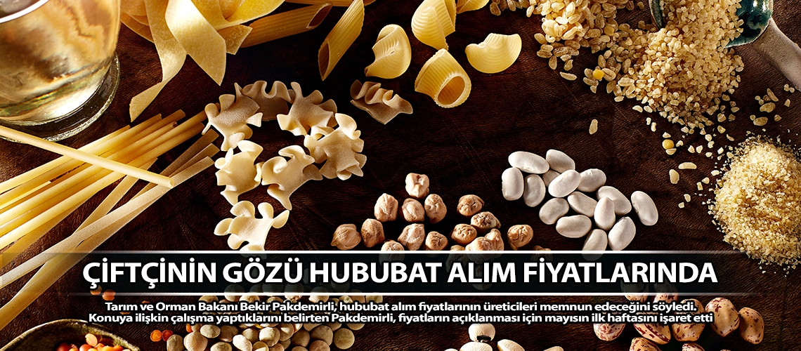 Çiftçinin gözü hububat alim fiyatlarinda