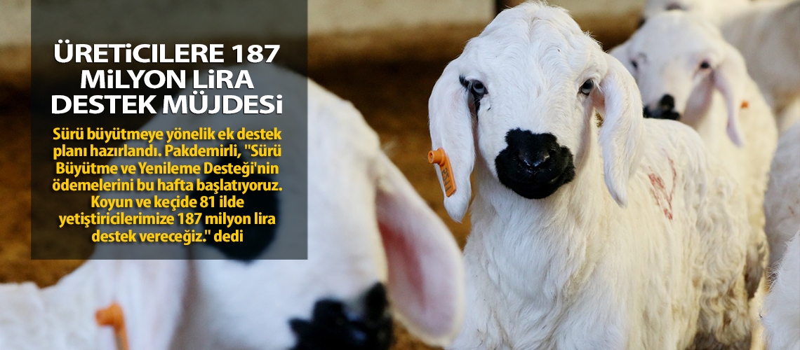 Üreticilere 187 milyon lira destek müjdesi