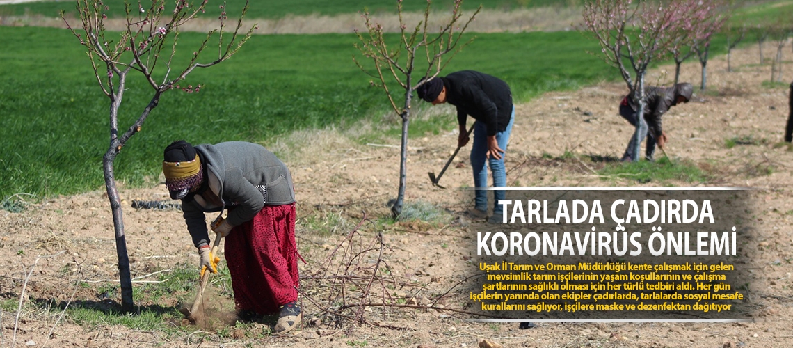 Tarlada çadırda Koronavirüs önlemi
