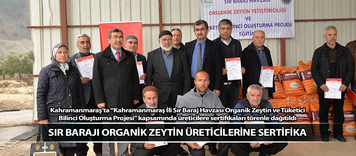 Sır Barajı organik zeytin üreticilerine sertifika