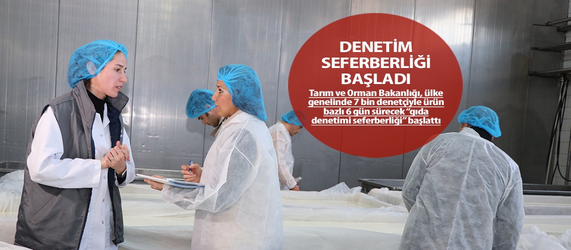 Denetim seferberliği başladı