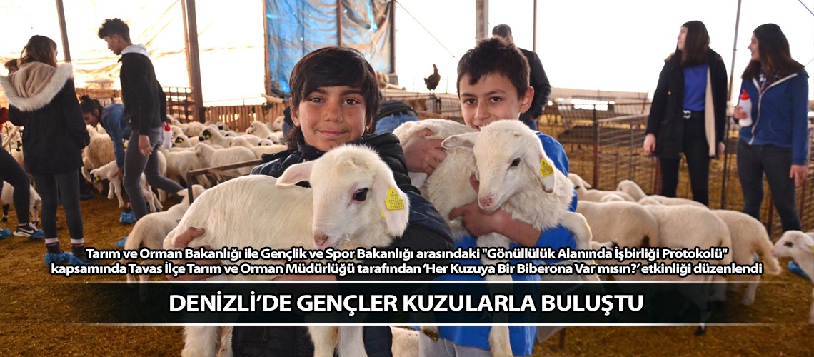 Denizli’de gençler kuzularla buluştu