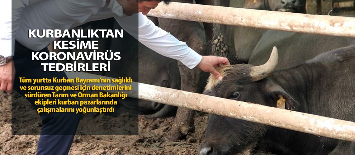 Kurbanlıktan kesime Koronavirüs tedbirleri