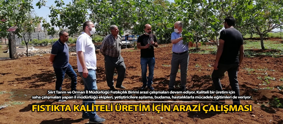 Fıstıkta kaliteli üretim için arazi çalışması