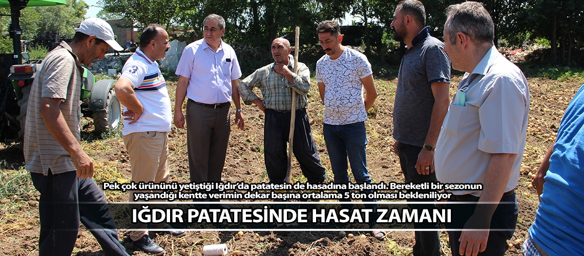 Iğdır patatesinde hasat zamanı