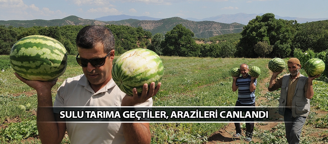 Sulu tarıma geçtiler, arazileri canlandı