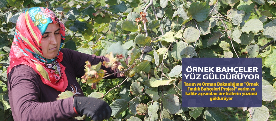 Örnek bahçeler yüz güldürüyor