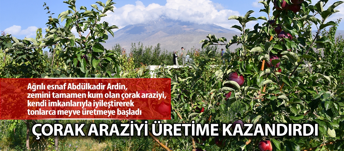 Çorak araziyi üretime kazandırdı