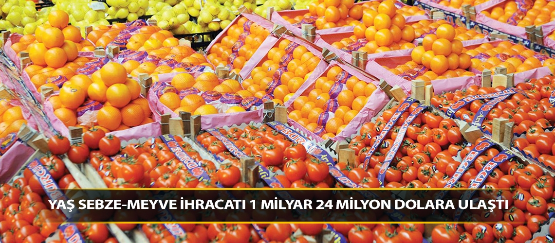 Yaş sebze-meyve ihracatı 1 milyar 24 milyon dolara ulaştı