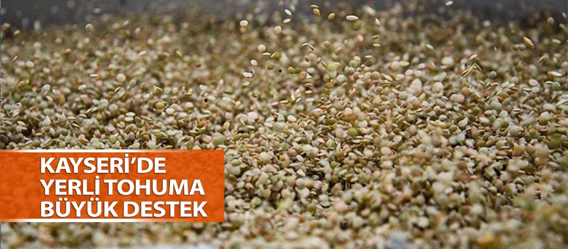 Kayseri’de yerli tohuma büyük destek