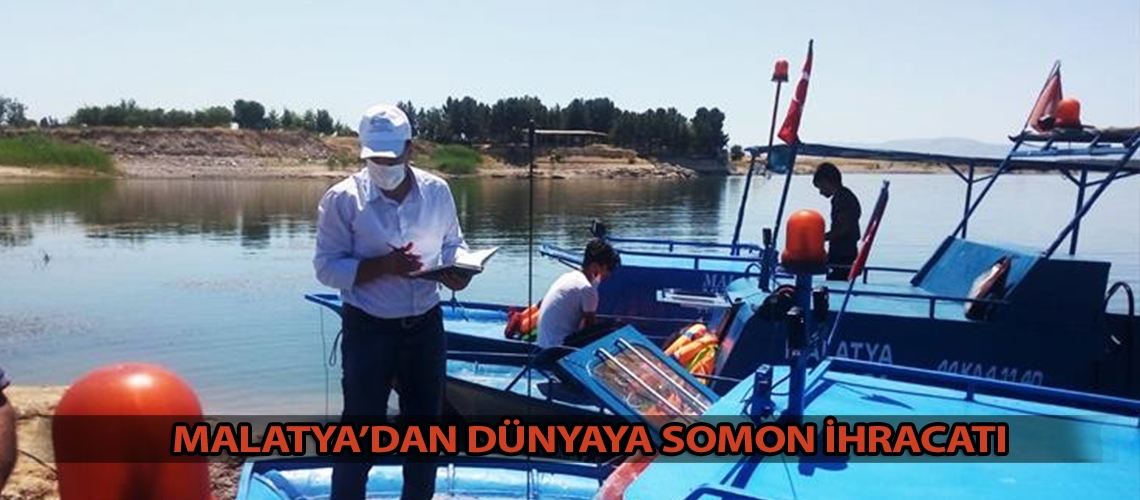 Malatya’dan dünyaya somon ihracatı