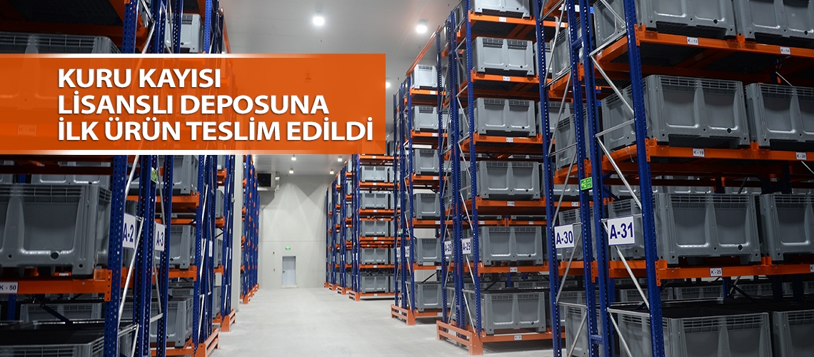 Kuru kayısı lisanslı deposuna ilk ürün teslim edildi