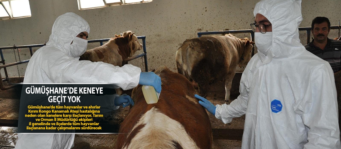 Gümüşhane’de keneye geçit yok