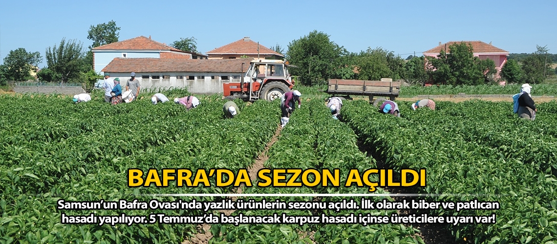 Bafra’da sezon açıldı