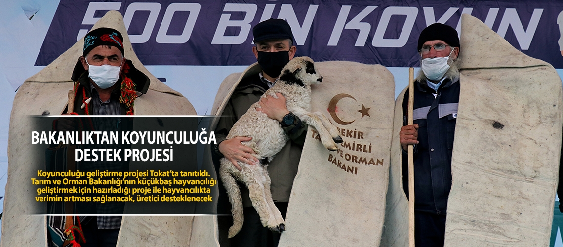 Bakanlıktan koyunculuğa destek projesi