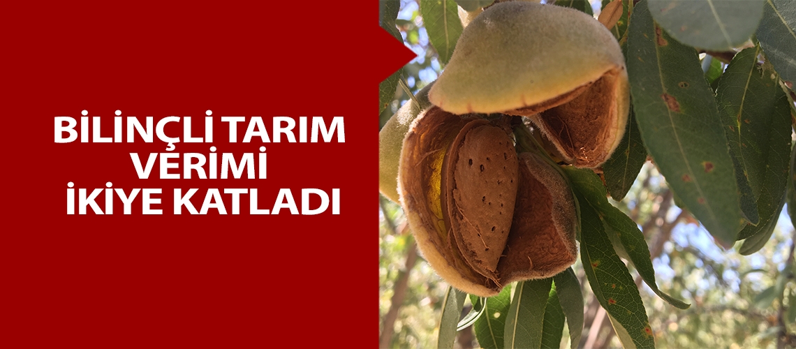 Bilinçli tarım verimi ikiye katladı