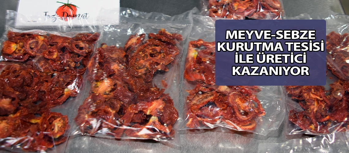 Meyve-Sebze Kurutma Tesisi ile üretici kazanıyor