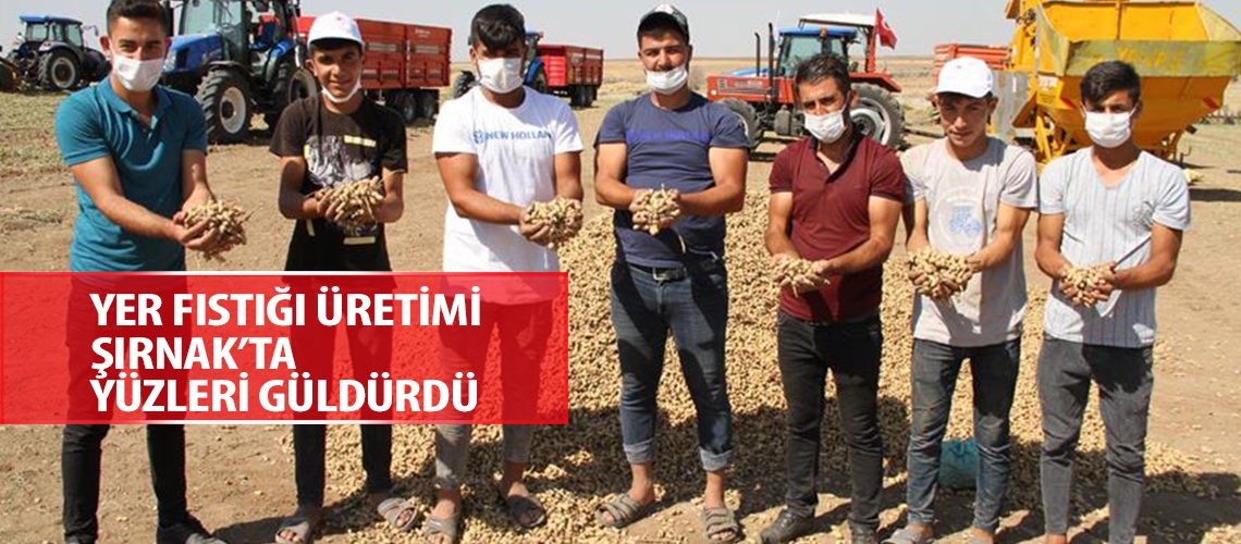 Yer fıstığı üretimi Şırnak’ta yüzleri güldürdü