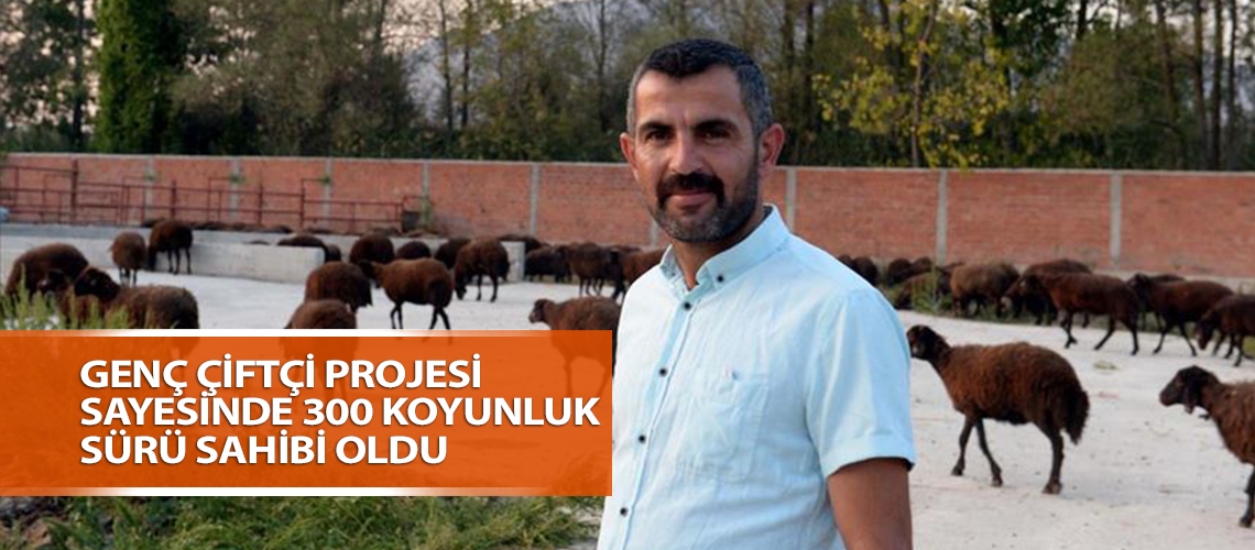 Genç Çiftçi Projesi sayesinde 300 koyunluk sürü sahibi oldu