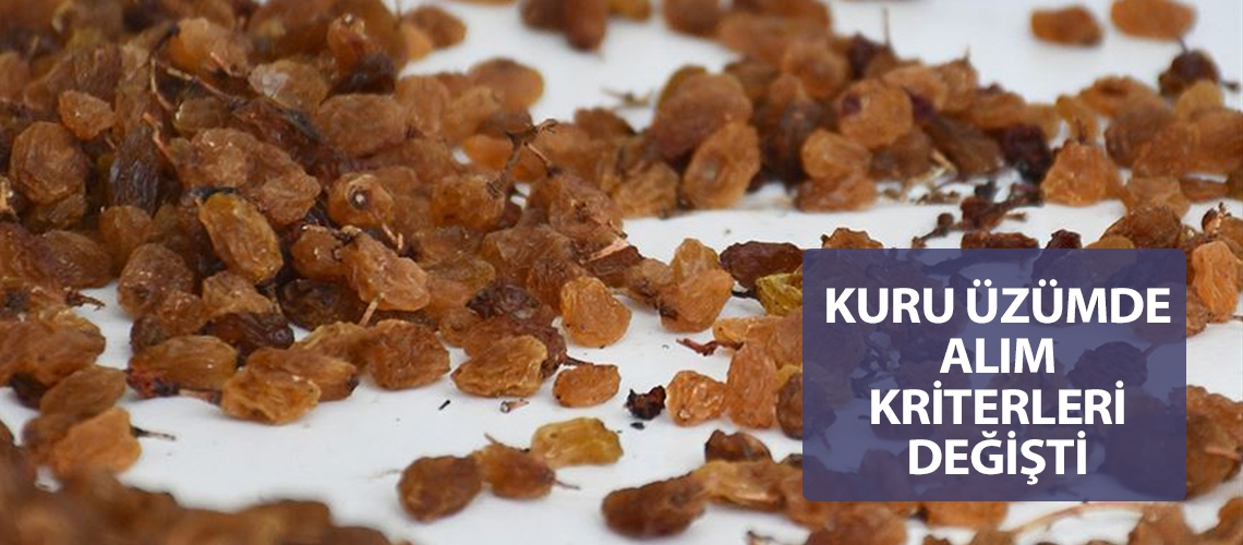 Kuru üzümde alım kriterleri değişti