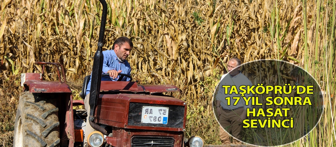 Taşköprü’de 17 yıl sonra hasat sevinci
